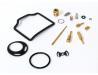 Carburettor repair kit for one carb.